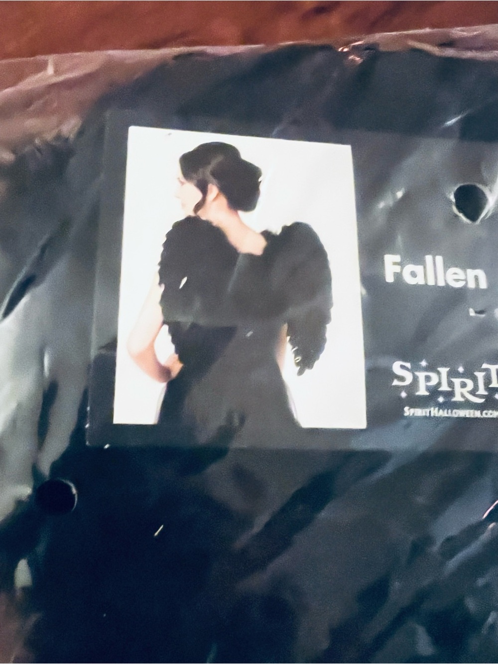 Spirit Halloween Fallen Black Feather Wings and Halo